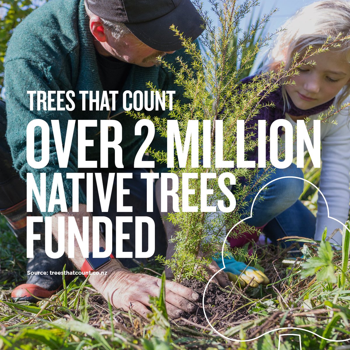 🌲 It's International Day of Forests, and we're proud to recognise @TreesThatCount, an organisation dedicated to helping New Zealanders plant millions of native trees. They have planted over 2,000,000 of them across the country since 2016!   Find out more: nzstory.govt.nz/stories/the-co…
