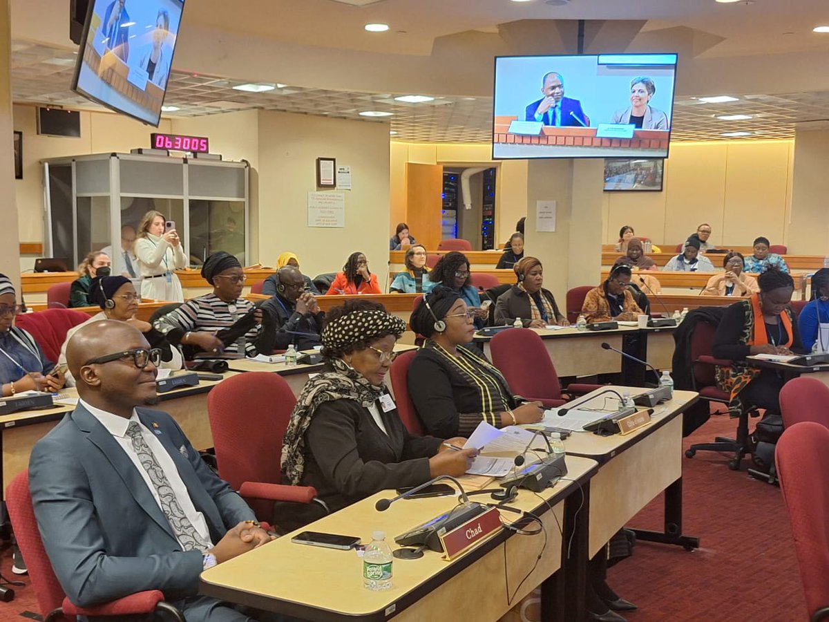 At the #CSW68 side event on women & girls education, @unwomenafrica Regional Dir. @MHouinato spoke on advocacy for policy changes to prioritize second chance education for the re-integration of out-of-school women & girls. To enhance their entrepreneurial success & employability
