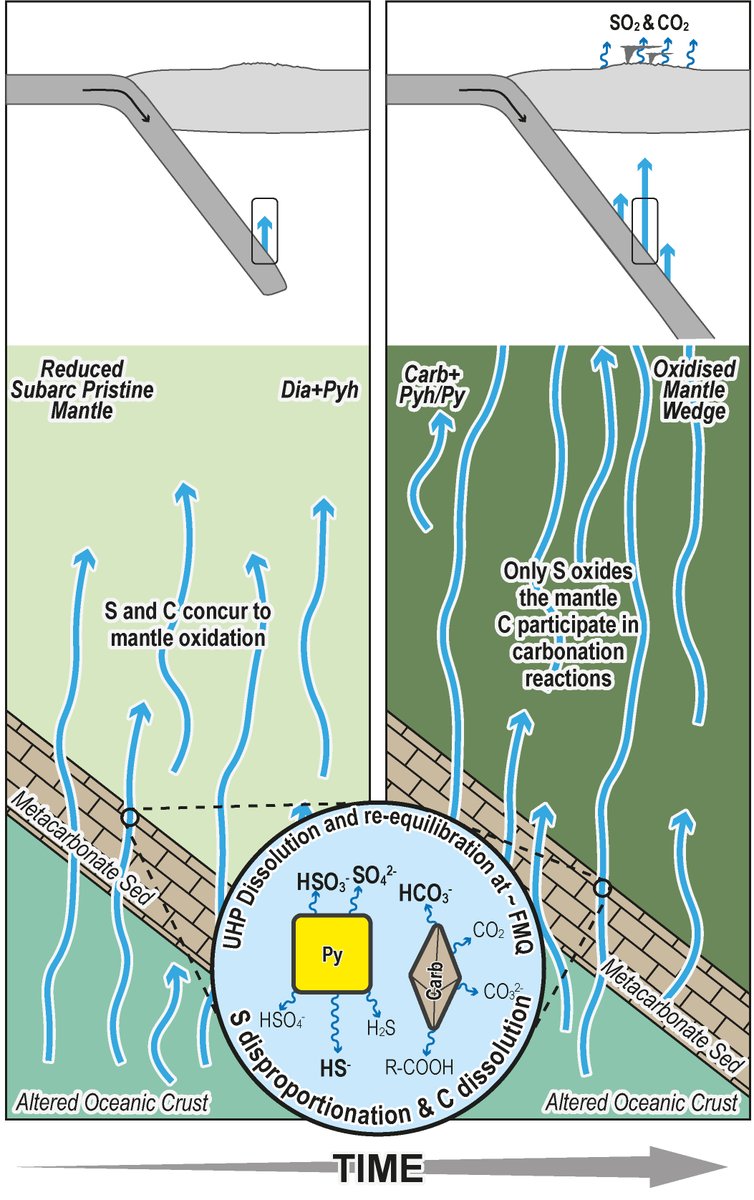 Our latest paper reveals, how oxidised sulfur from arc volcanoes could rise from disproportion on dissolution of subducted reduced sulfur (but not only that…)

Check it out!

science.org/doi/10.1126/sc…

#scienceadvancesresearch #geology #petrology #fluidthermodynamics #funstuff