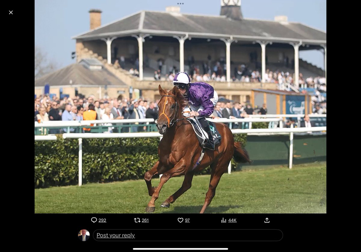 leskby's tweet photo. @AtTheRaces @YorkshireRacing @DoncasterRaces @WilliamHill https://t.co/zLhhJrHaCZ