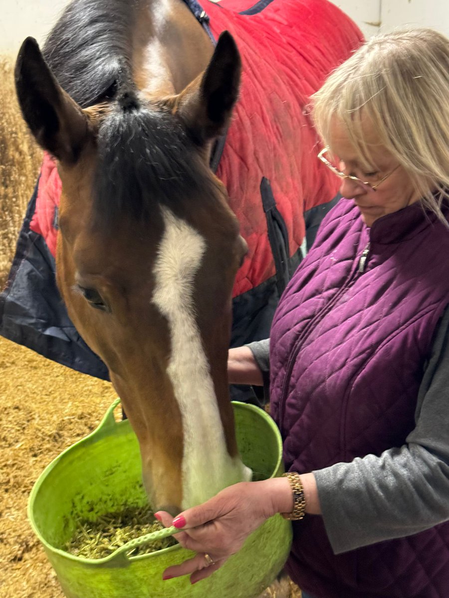 The things you do for love! Donut has decided that mummy can hold her dinner for her now instead of on the floor!! Spoilt child or what??