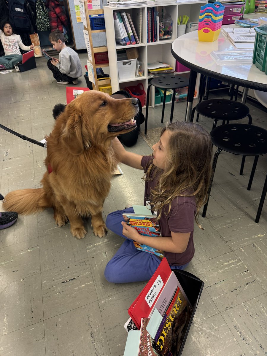 MissMigliore's tweet photo. Today was a great day…Tango came to visit our classroom 😊🐶❤️ @RobertHunterES https://t.co/7tidkgfxCA
