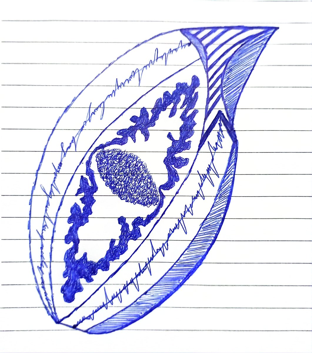 MNAteamarts's tweet photo. Pen Dimension #20 collectible https://t.co/UoyO8K0Ykw #rarible via @rarible 
#nft #art #artist #drawing #beautiful_artwork #painting  #design #style #sketch #ethereum #opensea #rarible #blockchain #pen_drawing #crypto #pen_dimension https://t.co/dyp1G1B8z3