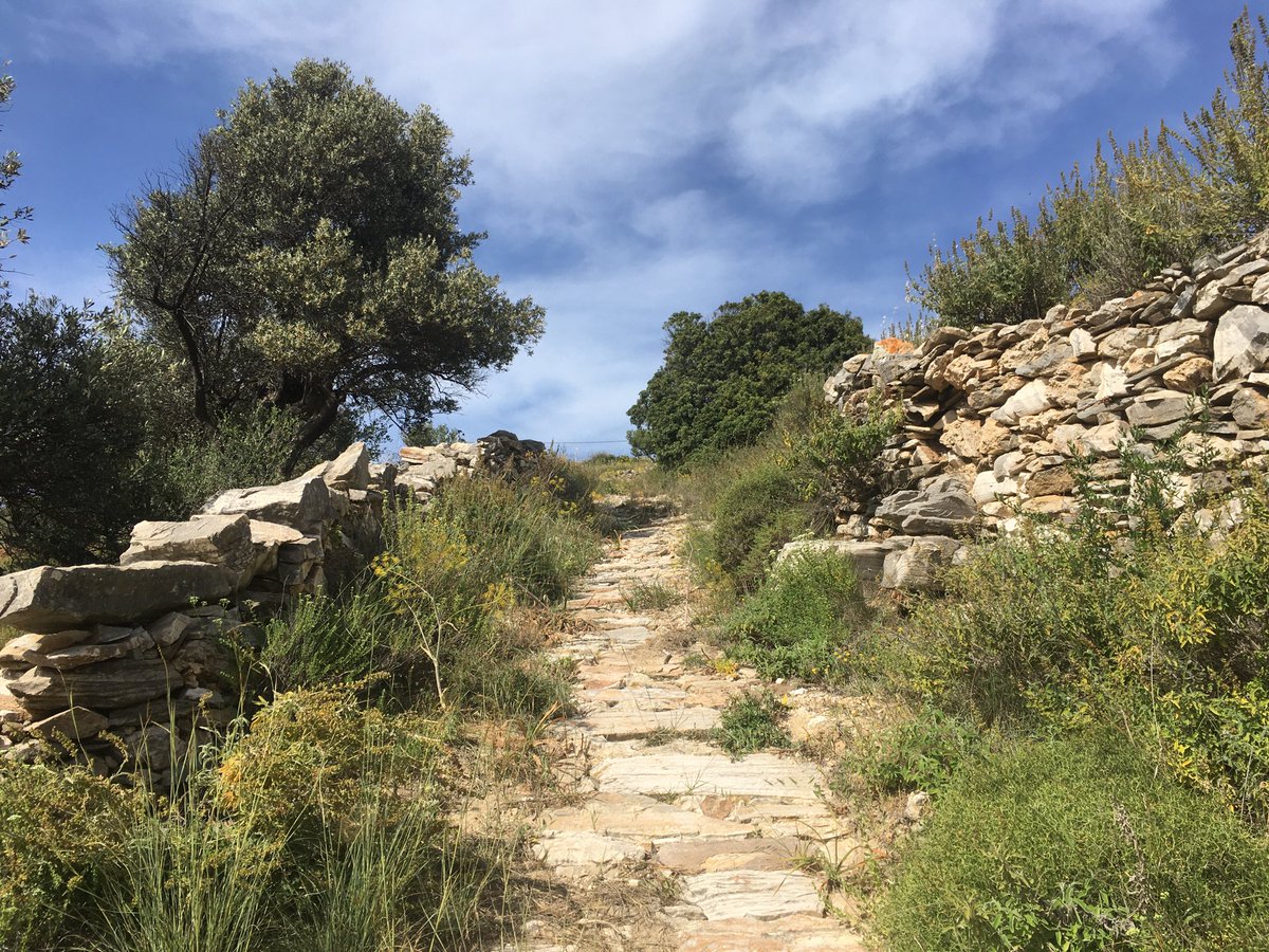 【✨感謝✨】
なぜか最近沢山ご連絡をいただき、5月はリピーターさんとご紹介の方で満室に✨
ありがとうございます✨✨

ご新規でご希望をいただいた方、お断りしてしまって申し訳ないです、、
トラブルを避けつつ、パロス島と宿と猫を愛してくださる方に来ていただけるかたちを考えたいです、、！