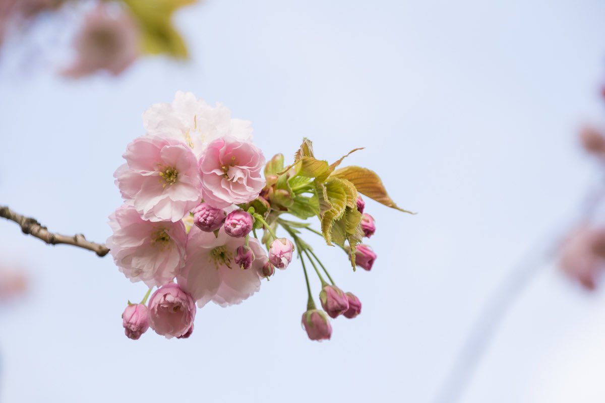 Happy Spring Equinox - anyone else excited that it’s finally spring?! 🌸 #springequinox #firstdayofspring