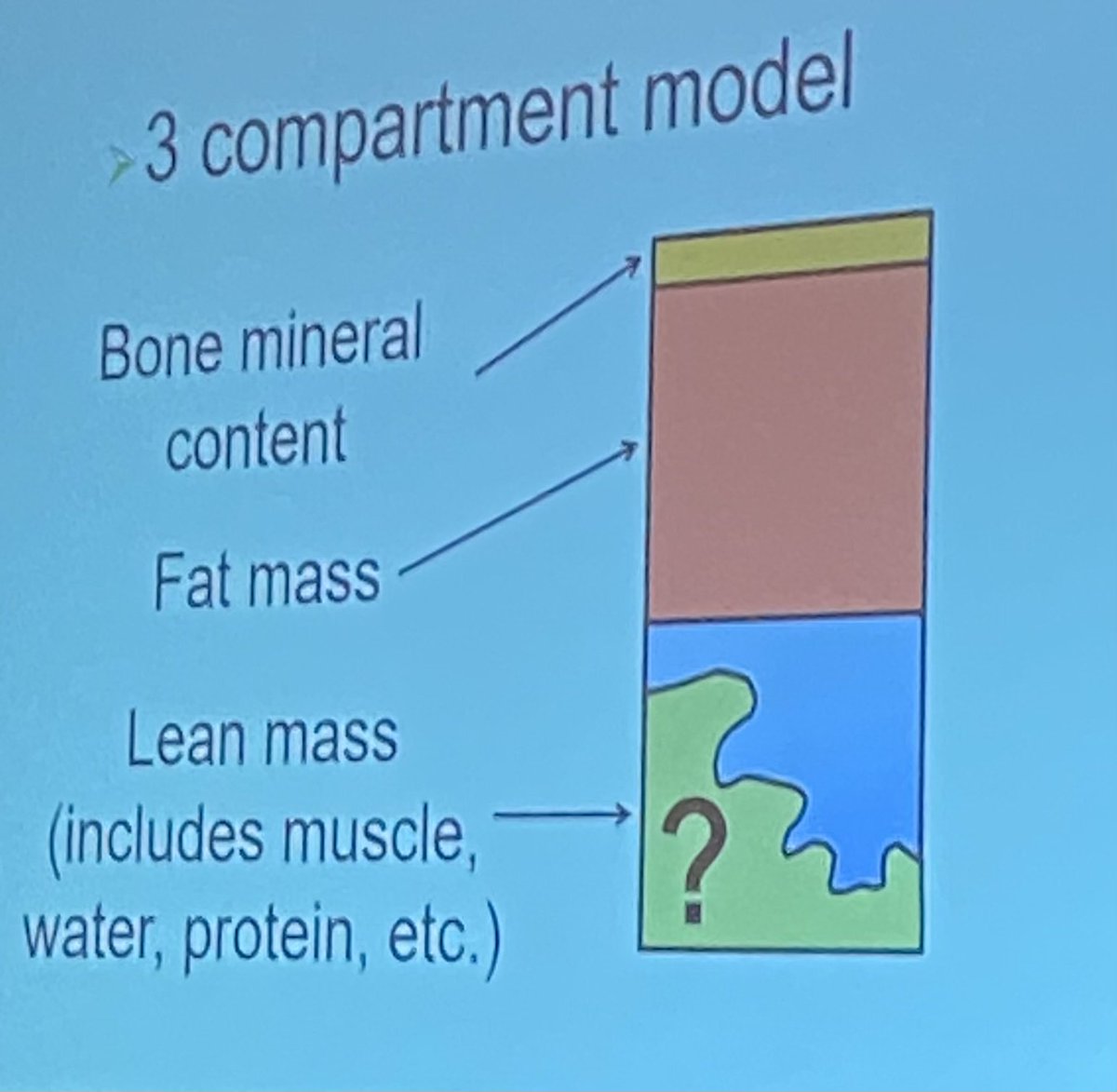 What does DXA really measure? How much of lean mass is actually muscle? We.Don't.Know. #ICFSR2024