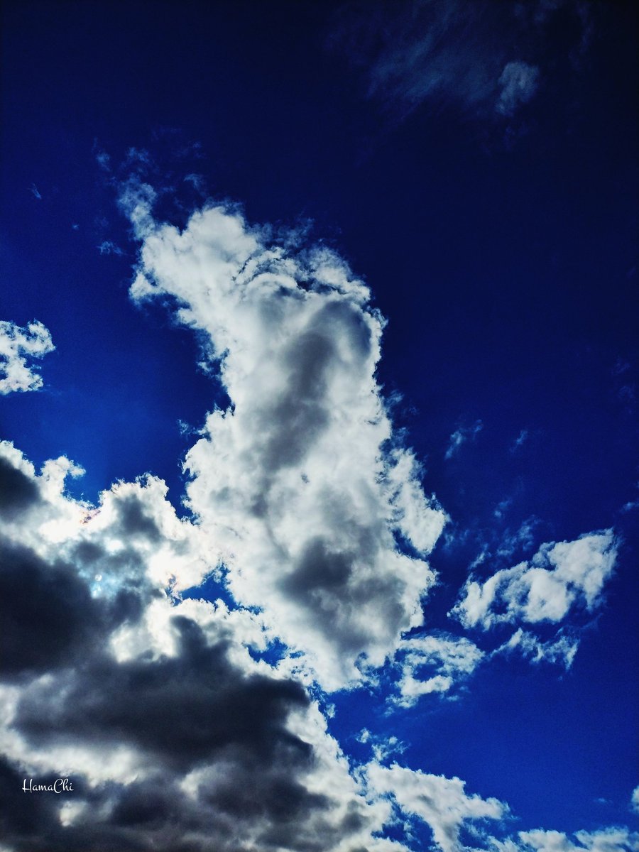 Bluemoonkari's tweet image. そらが
ぬけるように
あをかったとき

ずっと
あいたかった
きみに
あえた

あの
しゅんかんと
おなじような
きもちに
なった

#ｽﾃｷﾅｲﾁﾆﾁｦｵｽｺﾞｼｸﾀﾞｻｲ
#ｺﾁﾗﾀﾞｲﾌﾞｱﾀﾀｶｸﾅｯﾃｷﾏｼﾀ
#SpringIsNear