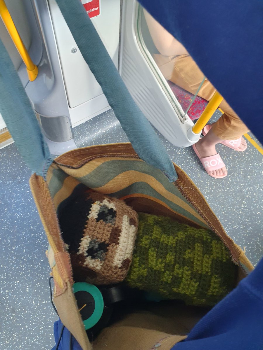 freesiadotcom's tweet photo. i carry the essentials w me
#hermitcraft https://t.co/25tlzC1rCK