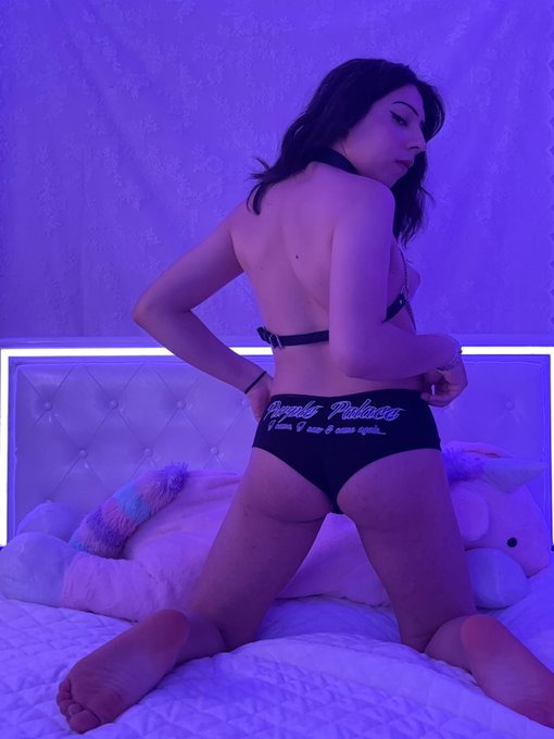 Welcome to the purple palace https://t.co/wbXtJslBxK