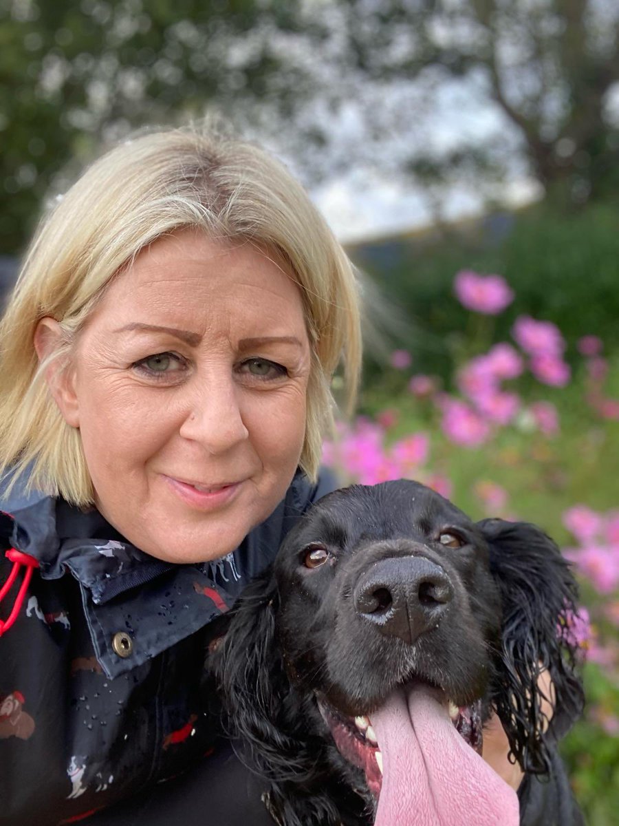 #dogwalk #Newforest #Hampshire #petsitting #furbabies #AnimalsLover #lightyswaggytails