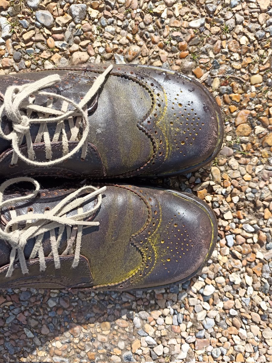 jayashworth2's tweet photo. I walked carefully through carpets of Celandines today and my shoes were dusted with golden pollen! @PenhurstRetreat #Penhurst @godsacre #penhurstchurch https://t.co/37s6Xi4b5n