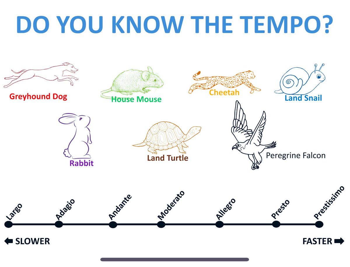 OMS Library tweet media