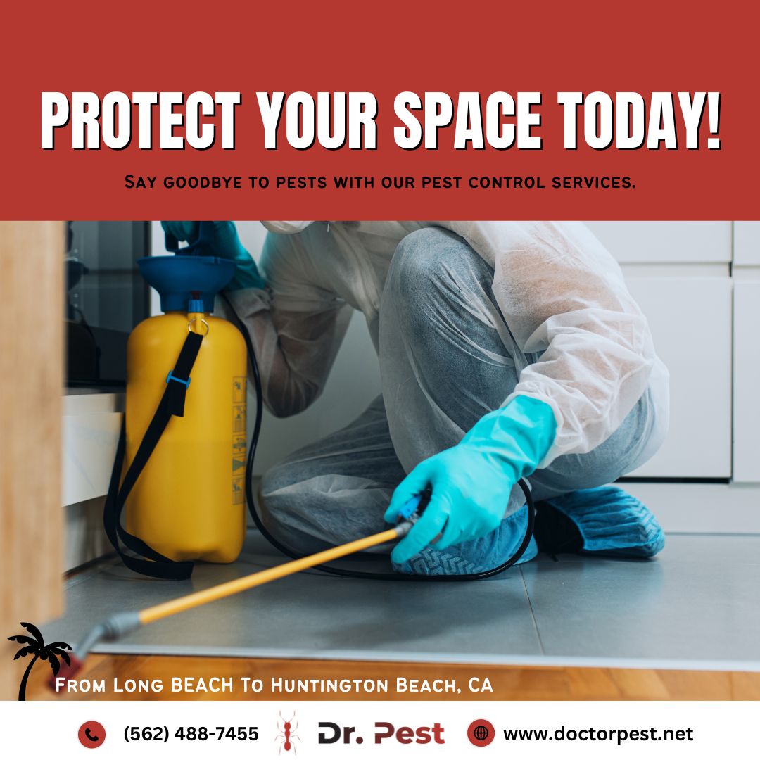 itsdoctorpest's tweet image. Dr. Pest: Your solution for a pest-free space! Call now for pest control services.

#DrPest #PestControlService #TermiteControlService #RodentControlService