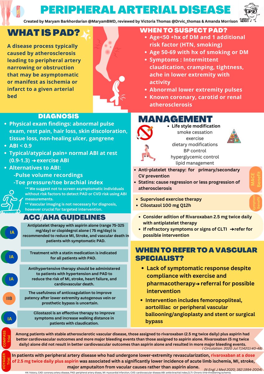 How often do you ask your patients about PAD symptoms? If you want to learn more, check out this @CardioNerds infographic about 'Peripheral arterial disease'! Especial thanks to @Drvic_thomas @RawanAAmir @AmitGoyalMD for reviewing.