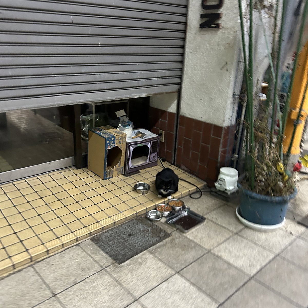 可愛い紙モノゲットした♡