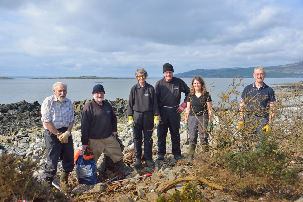 Last Carrick work party of the winter season @BC_SWScotland started dull and ended in bright sunshine and warmth today. Eight great volunteers cleared gorse to help @savebutterflies on the scenic Solway Coast. Well done all who have helped this season!