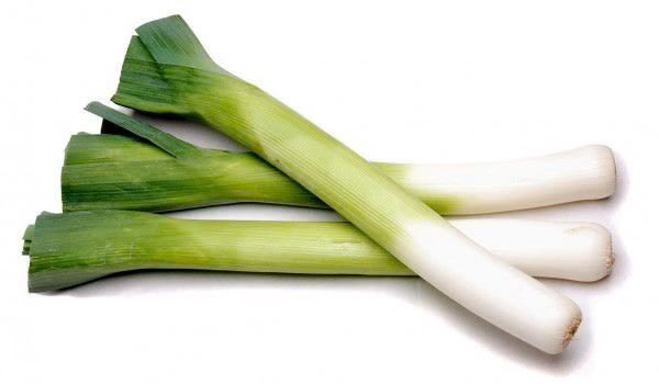 Since everyone is tagging us for leaks, here’s a picture of a leek ❤️ For any further questions, you can ask one of our favourite developers @Uttaraflann_CSG 😈