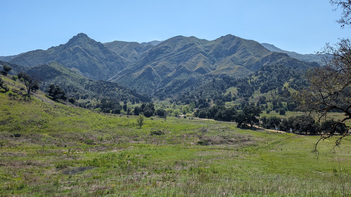 Jordan Rogers tweet media