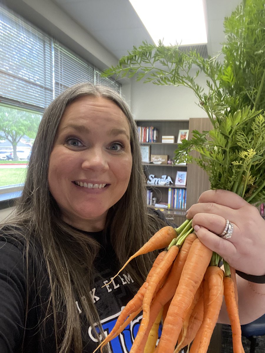 I got a lovely bunch of carrots from our garden today! Each kindergarten student took one home too!! #KirkCan @KirkElementary