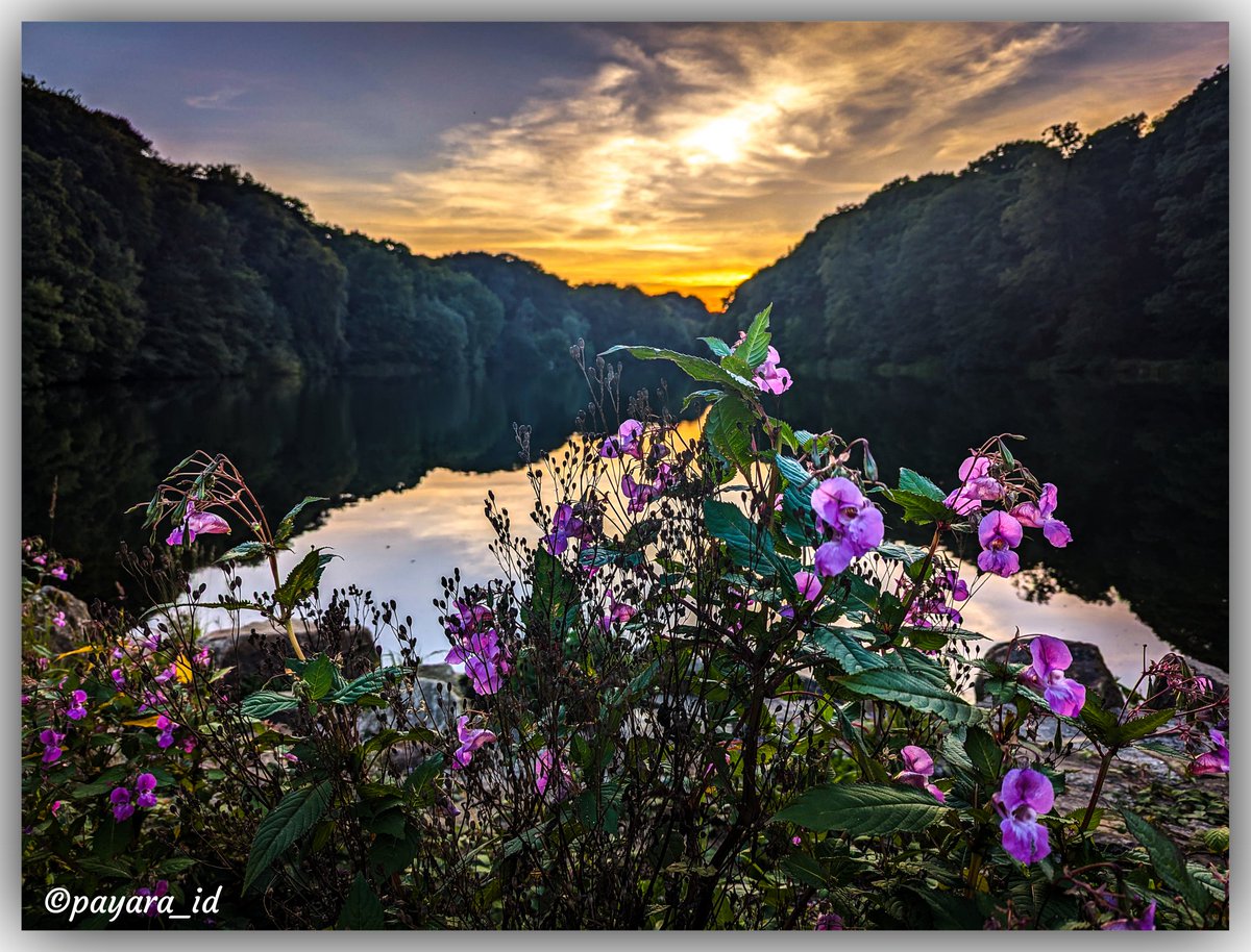 payara_id's tweet photo. @GooglePixel_US Sunsets &amp; Landscape photography 📸 https://t.co/EveswxlijP