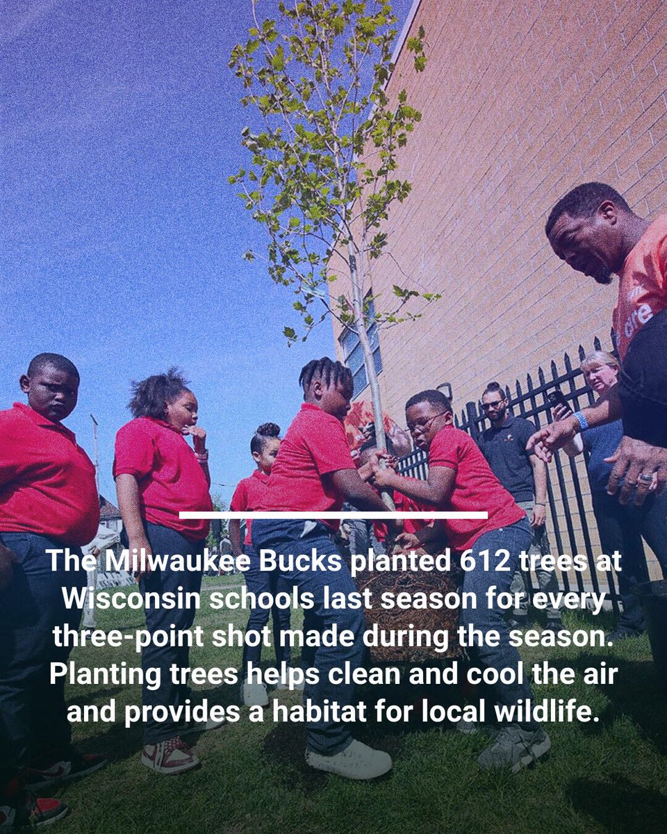 🏀 From passing to planting, the @Bucks have range! They planted 612 trees at Wisconsin schools last season for every 3-pt shot made during the season. 🌳 Planting trees helps clean and cool the air and provides a habitat for local wildlife.