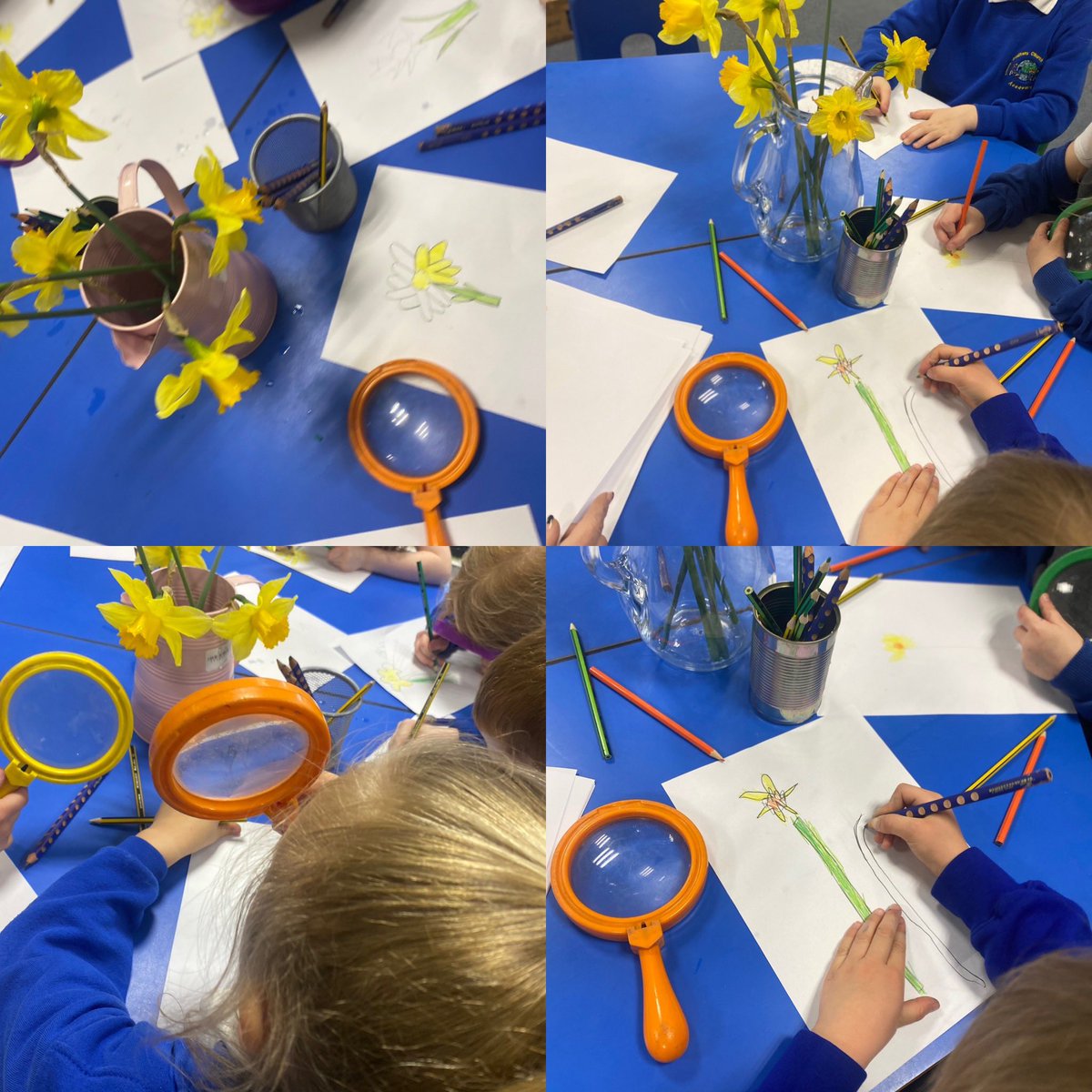 Today, to celebrate the first day of Spring, the Reception children enjoyed looking carefully at a daffodil to complete an observational drawing. They talked about the different colours that they could see and the different shapes they needed to draw too #artistsinthemaking