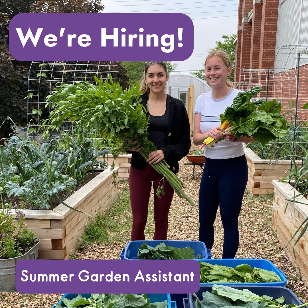 ☀️ We're hiring summer staff! ☀️ Would you like to spend this summer working with our team of chefs, educators and gardeners to run the best summer food education programs around? 👨‍🌾👩‍🍳 Check out our job postings buff.ly/4a6hhPV!