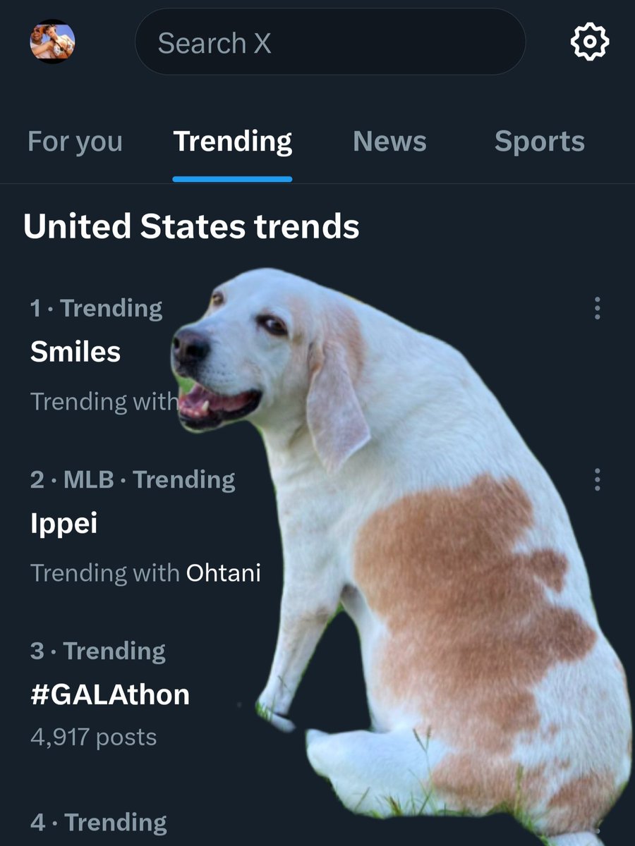 Seeing Smiles trending at #1 is truly awesome. So sorry for your loss, Brother. You saved him, gave him a great life and he went out with his boots on! ❤️ - @catturd2 #RIPSmiles