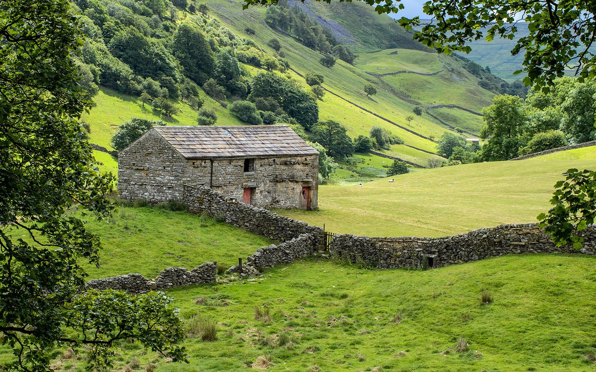 Field barn, very much a feature in Swaledale.  Yorkshire Dales NP