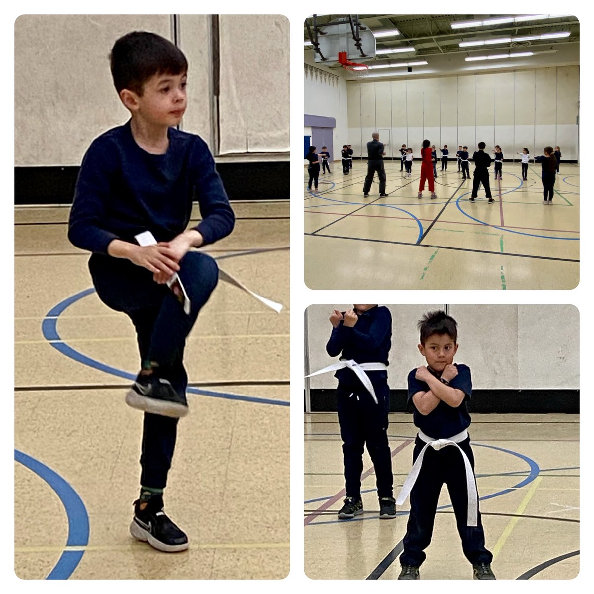 Thank you Northern Karate for coming to St. Nicholas of Bari and giving our students a great afternoon. We look to the next 4 weeks which will be followed up with a ceremony at the Northern Karate center. Please sign up if interested! @TCDSB @TCDSB_RDAddario @TrusteeDAmico