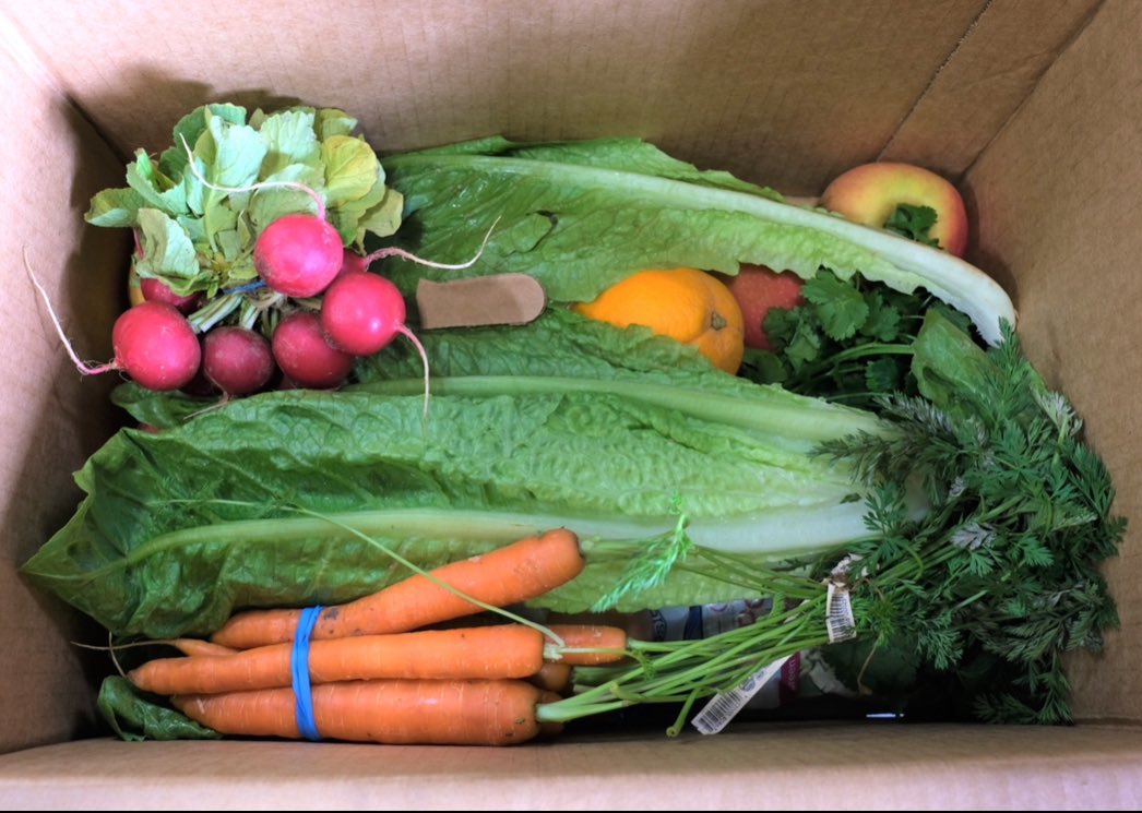 March is National Nutrition Month! Here at the San Diego Food Bank, we're dedicated to providing fresh and nutritious food to the local families we serve. That's why more than 40% of the total food we've distributed since July 1 has been fresh produce. 🥬 #NutritionMonth