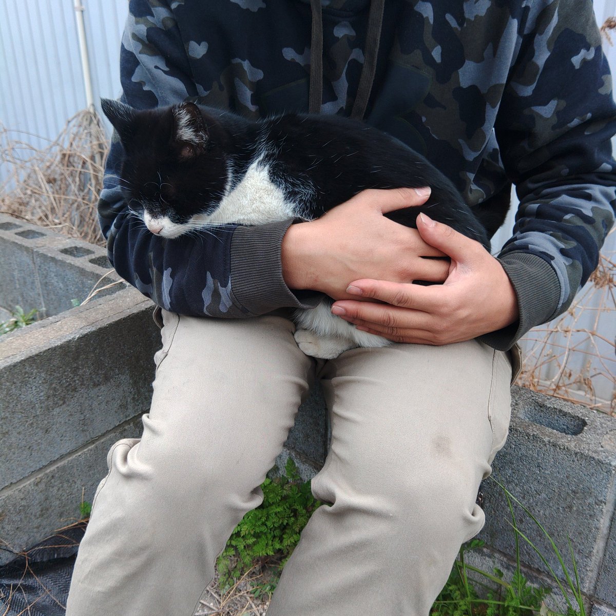 と言うわけで昨日は鉄人さん主催のサバパー貸し切りに参加しました。久々普通の格好してたら、わからなかったとか今日は被り物じゃないんですねとか言われてすっかり被り物の人で認識されてるのねwお肉も美味しかったしネコちゃんも居るしやはりサバパーはリピートしたくなるフィールドです。 