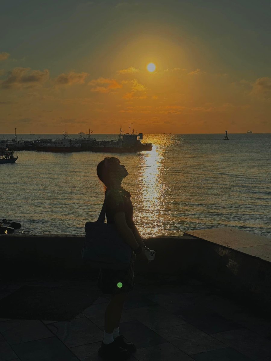 Linden Wynne tweet media