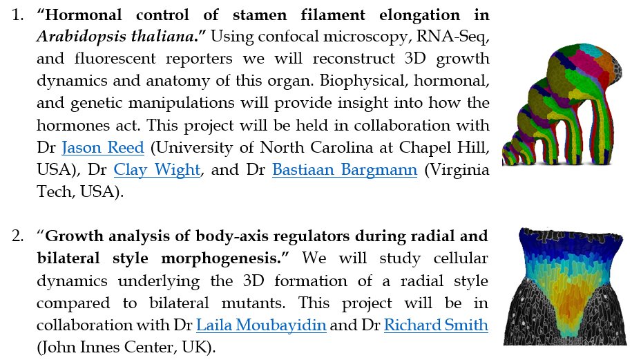Join us for your Ph.D.!!! Two funded positions in plant development. First project with Jason Reed, Bastiaan Bargmann, and Clay Wight The second project in collaboration with @plant_symmetry @RichardSmithLab More details: kierzkowski-lab.com/join-the-lab/