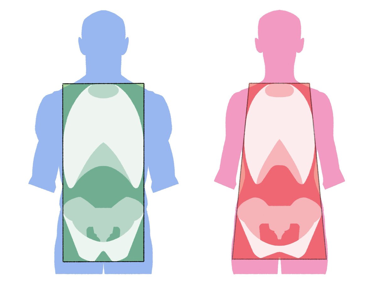 「補足図:一般的な胸郭と骨盤の性差 」|伊豆の美術解剖学者のイラスト