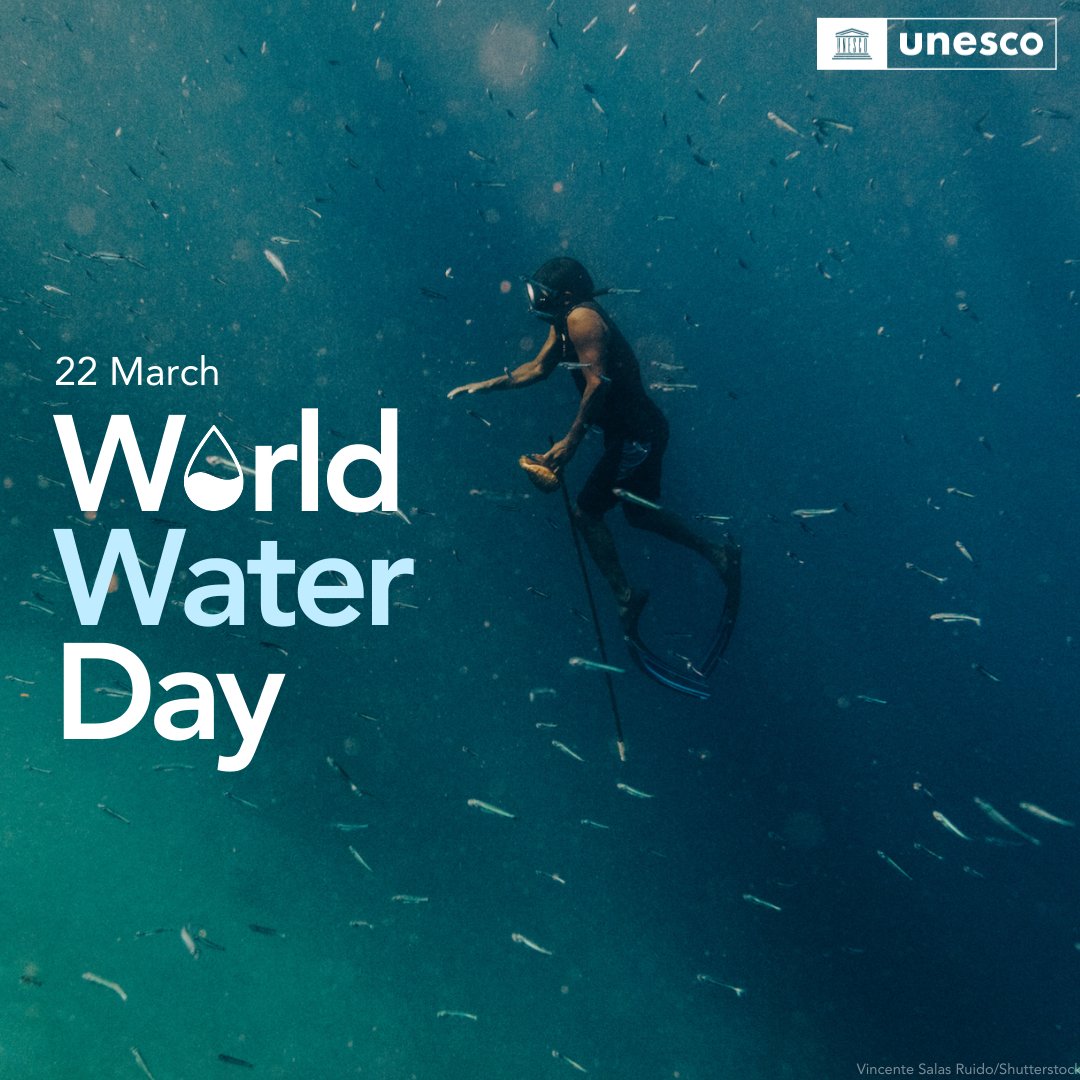 UNESCO 🏛️ #Education #Sciences #Culture 🇺🇳 tweet media