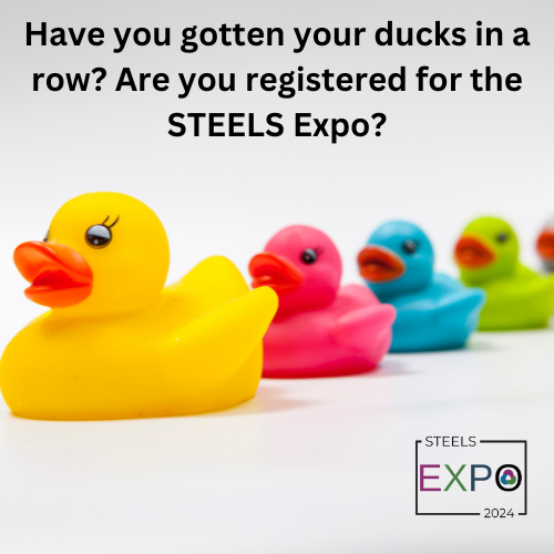 Have you gotten your ducks in a row? Have you registered for the MCIU STEELS Expo? This year we have over 30 partners that are joining us for a fun day of STEELS learning! You and your team won’t want to miss it! Register now! learn.mciu.org/steels-expo-20… #MCIULearns #STEELS