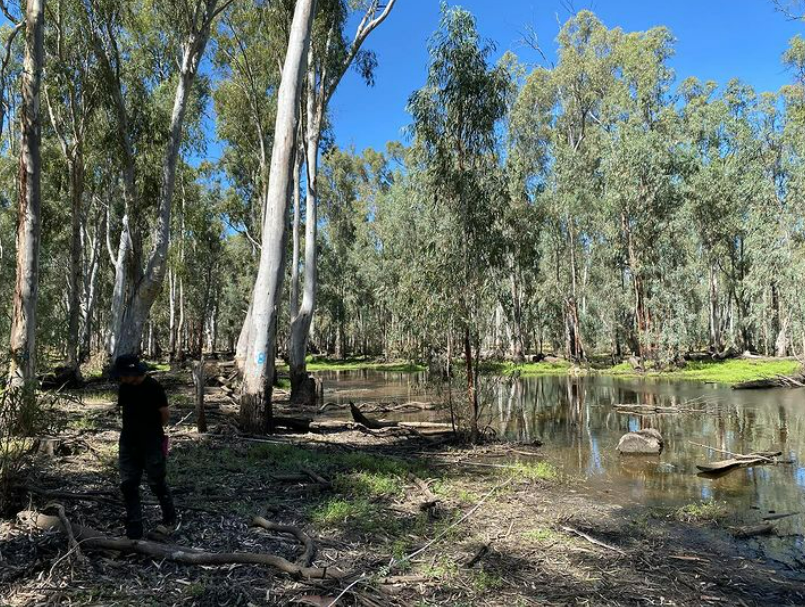 E_R_Australia's tweet photo. Greeting from our team on this #internationaldayofforests - we are currently undergoing the hardship of working in this stunning forest this week! #lifeinthefield #floodplain #wetlands #florasurvey https://t.co/uQk7rpbQfs