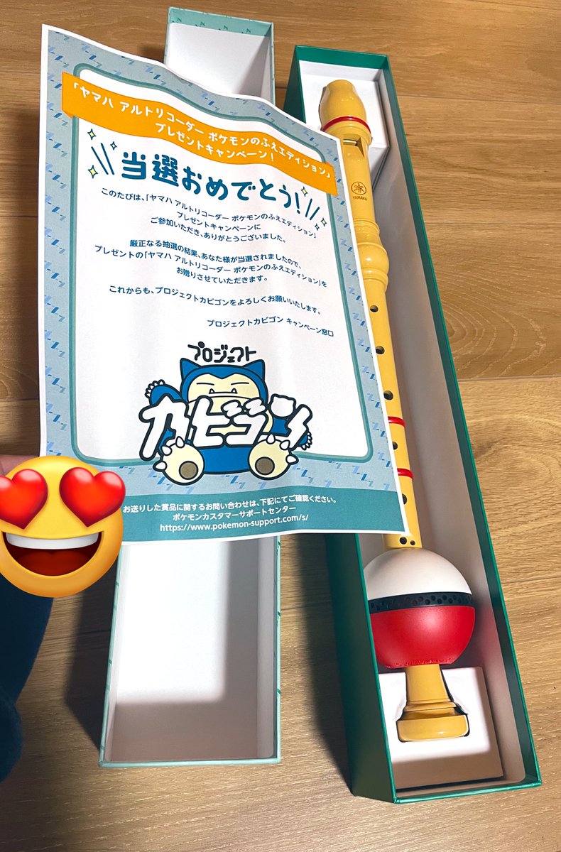 プロジェクトカビゴン ポケモン アルトリコーダー - その他
