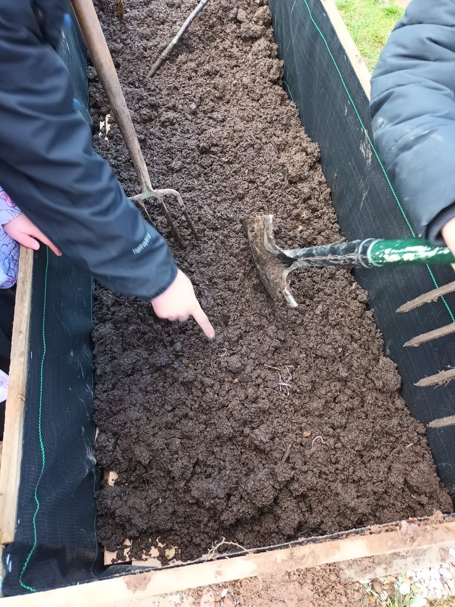 NikkiYServices's tweet photo. 9 young people from Climate Change Champions in Erskine led activities for 28 children from a local after school club at @ErskineCGarden today. The group have built a raised bed &amp; are getting other young people in the community involved. @FiYouthServices @DofeRenYouth @DofETimCSO https://t.co/XTAxngDILA