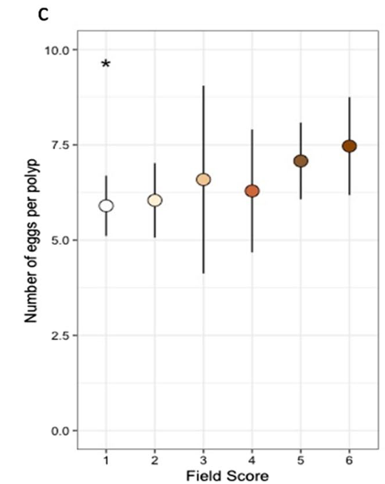 Carly Randall (@drcarlyrandall) on Twitter photo Mass coral bleaching is unfolding on the GBR...again. 😢
Want to know how this might impact reproduction next year? Out today in Coral Reefs: impacts of bleaching on coral reproduction in Woppaburra sea Country.
rb.gy/bm9v1z
<a href="/aims_gov_au/">Australian Institute of Marine Science</a> <a href="/WeareWoppaburr1/">WeareWoppaburra</a> <a href="/bhp/">BHP</a> Mass coral bleaching is unfolding on the GBR...again. 😢
Want to know how this might impact reproduction next year? Out today in Coral Reefs: impacts of bleaching on coral reproduction in Woppaburra sea Country.
rb.gy/bm9v1z
<a href="/aims_gov_au/">Australian Institute of Marine Science</a> <a href="/WeareWoppaburr1/">WeareWoppaburra</a> <a href="/bhp/">BHP</a>