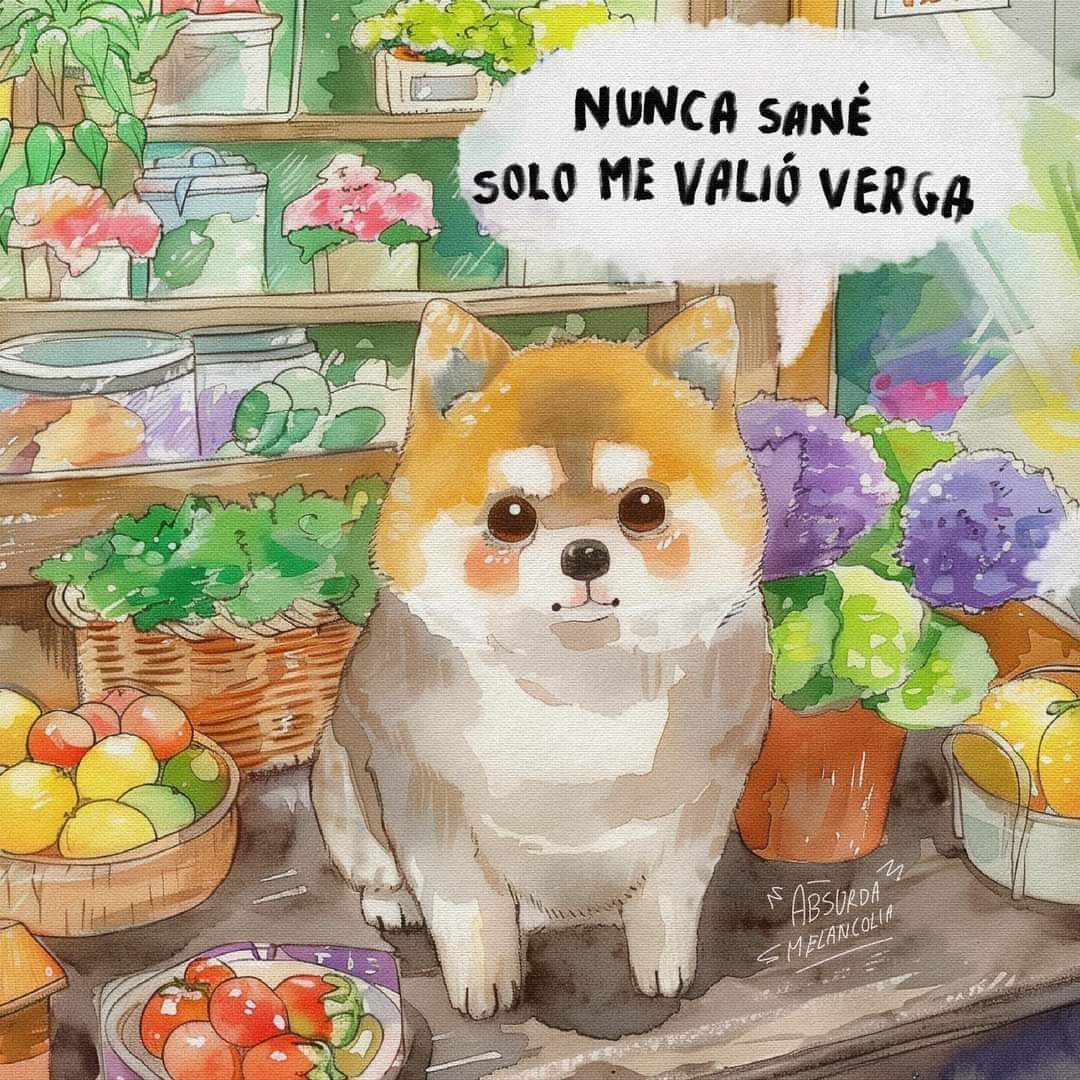 nxstypxet's tweet image. 