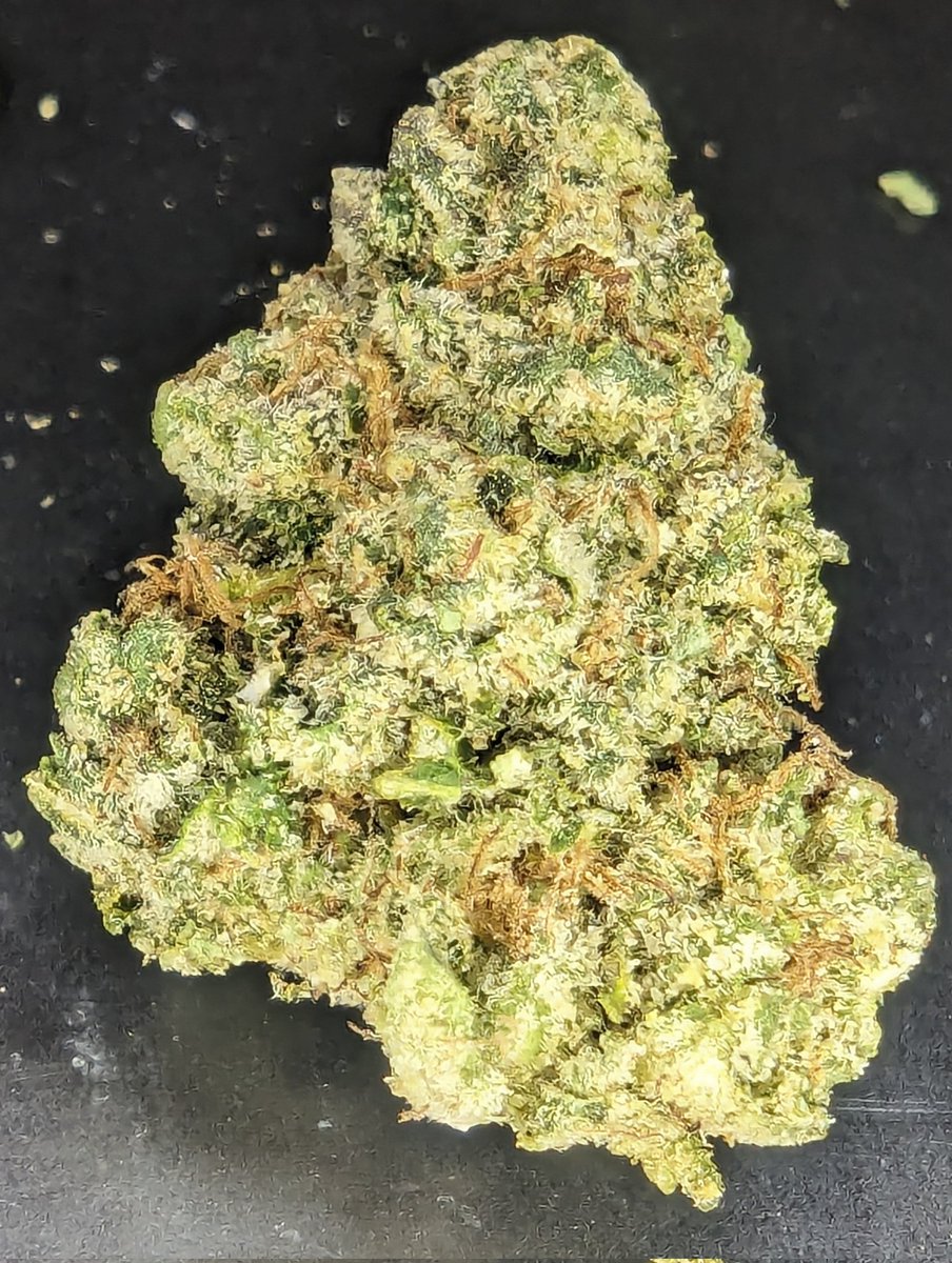 Time to get trippy with some Crippy! First time with this strain. Looks good, smells good, almost time to see if it tastes good too! 😂💨💨😶‍🌫️

#420community #Mmemberville #WeedPics