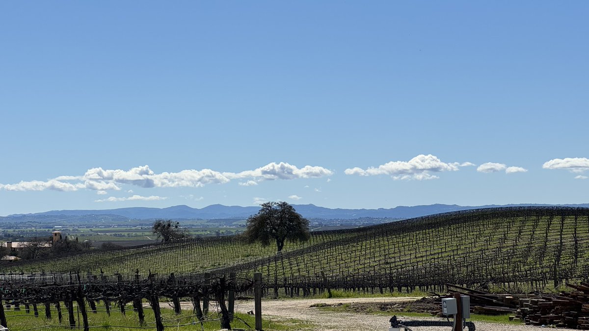 My post about High Camp Wines is on the @WineReviewOnlin #wine blog at WineReviewOnline.com/wine_blog.cfm