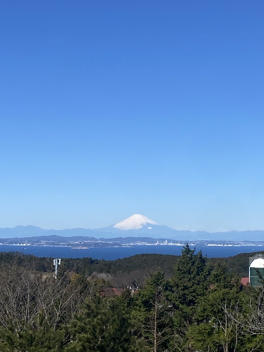 今日のマザー牧場は青空が綺麗な良いお天気！ 綺麗な富士山がくっきりと見えています🗻 motherfarm.co.jp #マザー牧場
