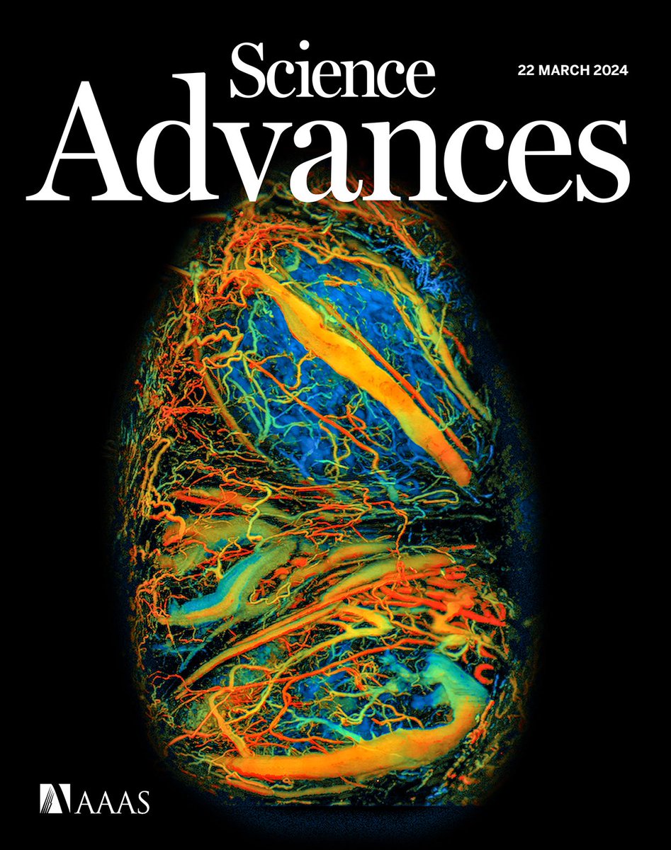 Our fresh cover article in Science Advances on high resolution photoacoustic imaging of placenta development over the entire mouse pregnancy! science.org/doi/10.1126/sc…