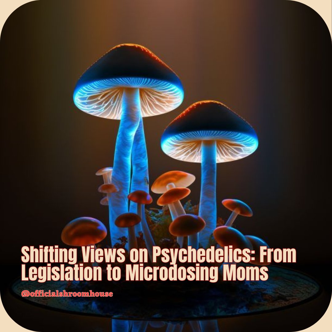 Legislative changes pave the way for psilocybin therapy while moms explore microdosing, yet safety concerns linger. 🍄💊 #PsilocybinTherapy #Microdosing