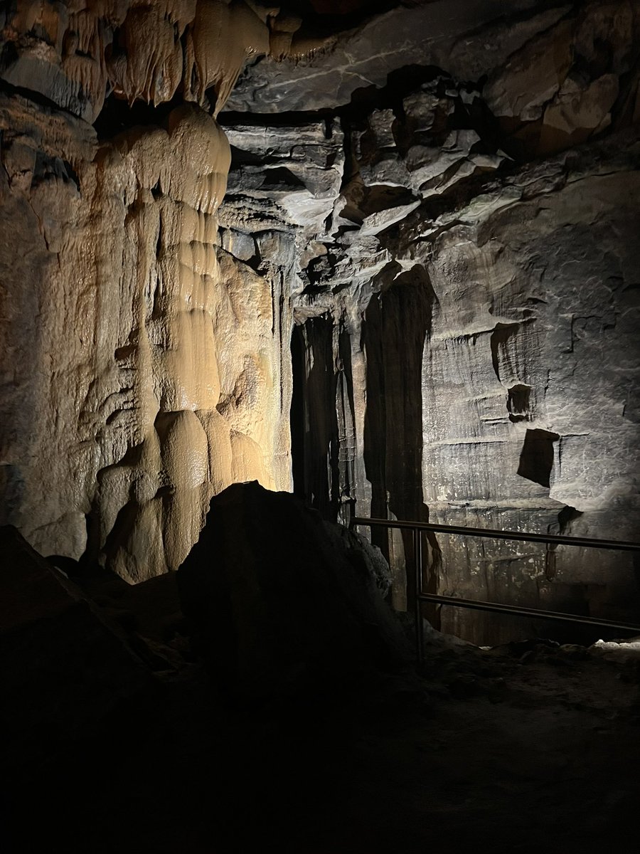 Seneca NHS tweet media