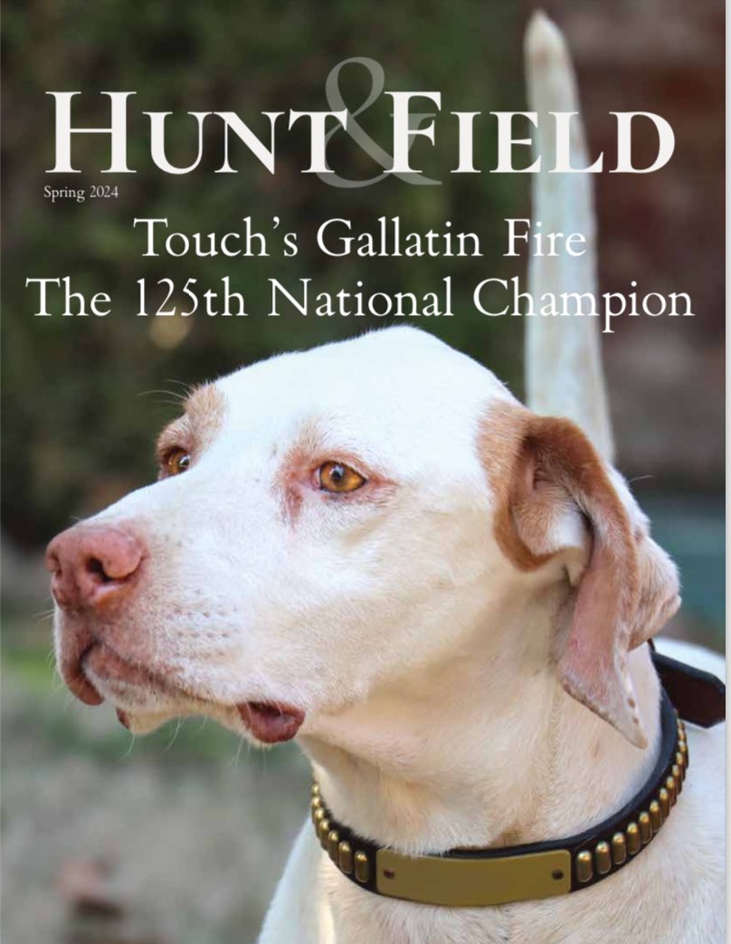 huntfieldmag's tweet image. The 125th National Championship Edition will be heading to subscribers’ mailbox soon! On the cover is Touch’s Gallatin Fire, owned by Alex and Bryana Rickert, Handled by Mark McLean, Scouted by Mark Haynes.

📷 by Publisher @MBJAbbott