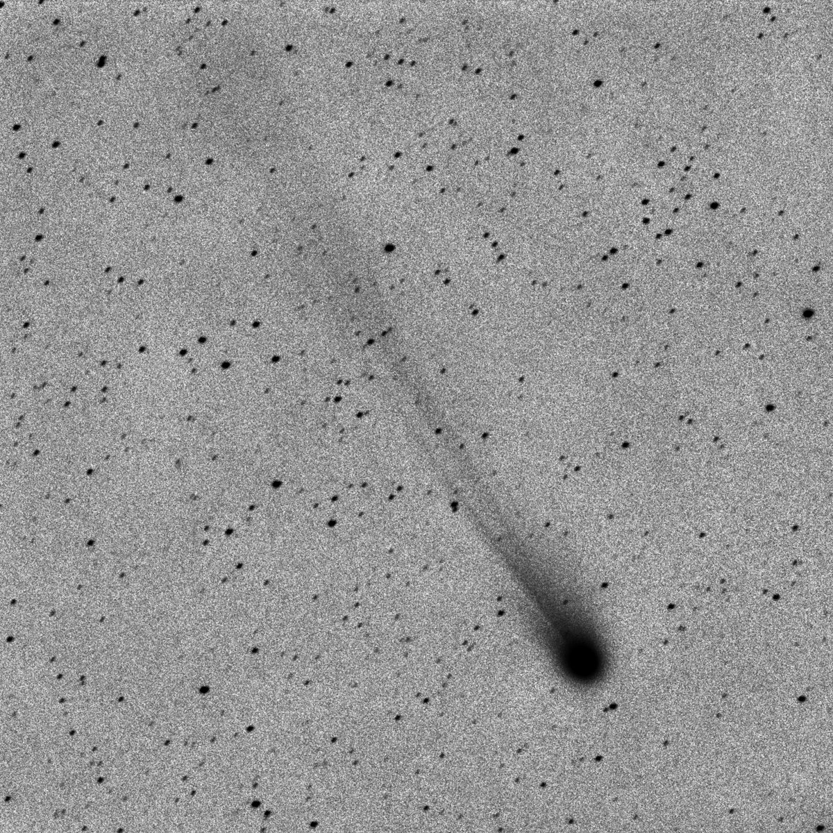 12P/Pons-Brooks 2024.03.20 18h49m(JST)- 30secx19 BORG76ED(SV0.8x